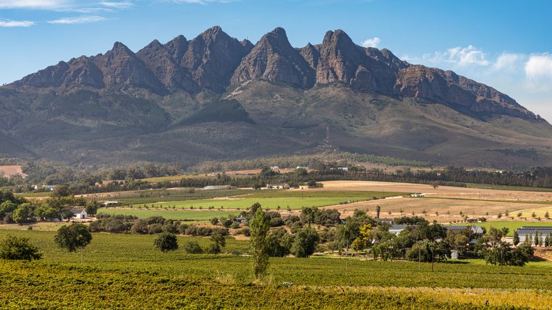 View of the mountains on the Olifant River from the “Val du Charron” vineyard, Drakenstein, Western Cape, Sout
