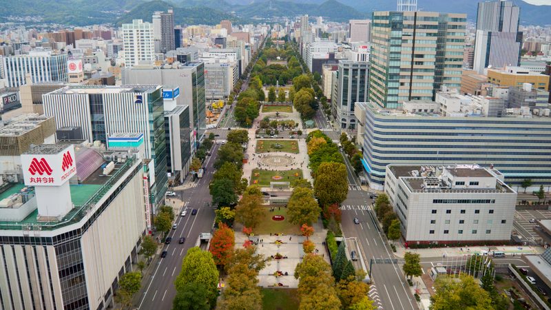 Aerial view of Odori Park stretching through central Sapporo, flanked by commercial and office buildings, with