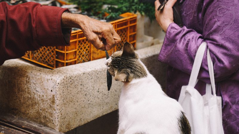 Marrakesh, Morocco