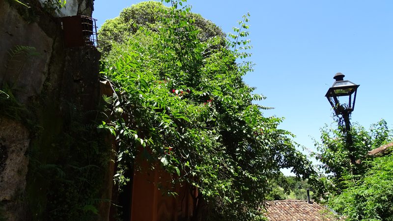 Beco Padre Lourival, Tiradentes, MG