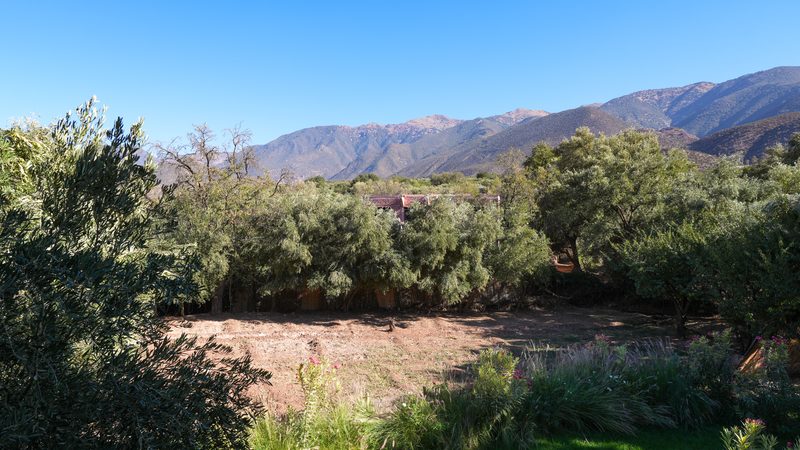View to the northeast, Riad Idar homestay, olive trees in foreground. Ouirgane, Al Haouz Province, Morocco