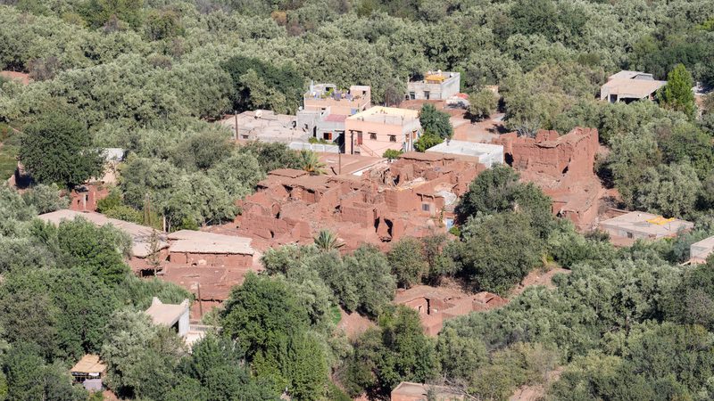 New houses replacing damaged old houses, surrounded by olive groves. View from above. Agouni, Ouirgane, Al Hao