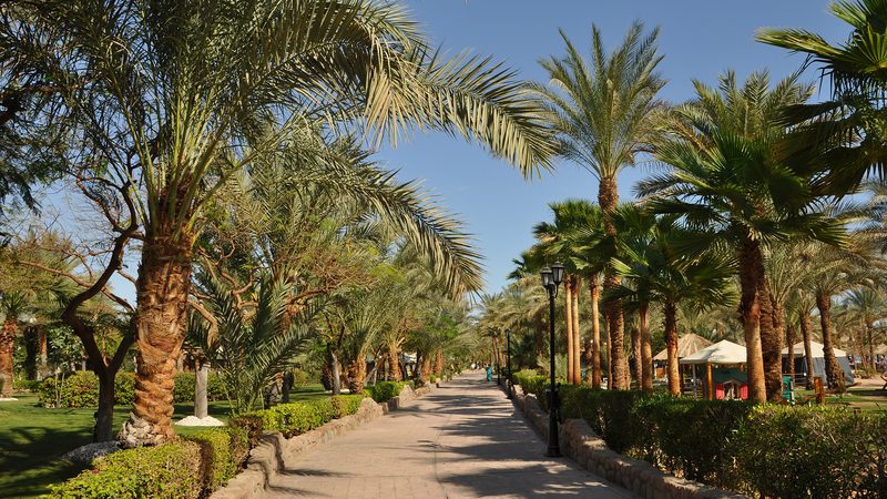 Sharm el-Sheikh (Egypt): Naama Bay Promenade