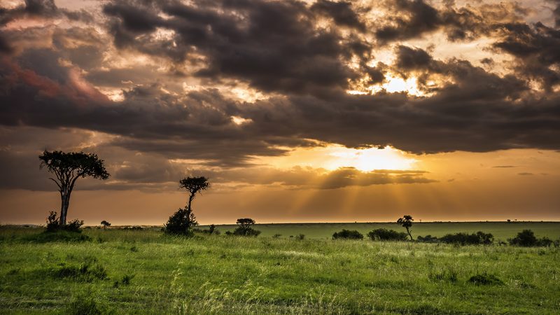 The Mara