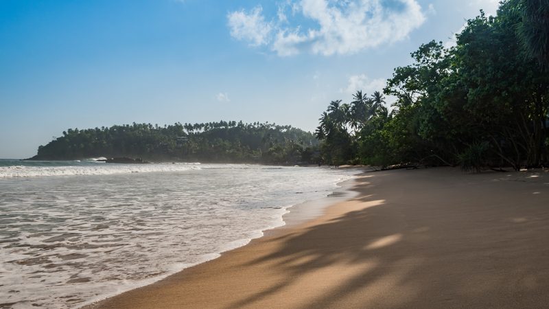 Mirissa beach Sri Lanka