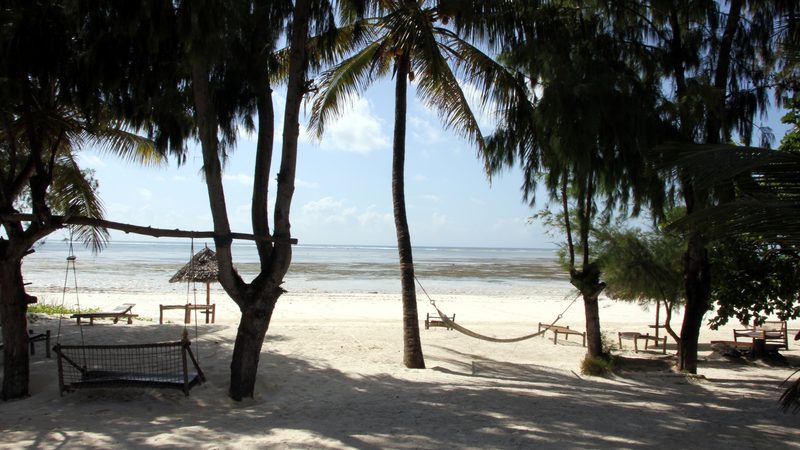 The view from our place in Zanzibar